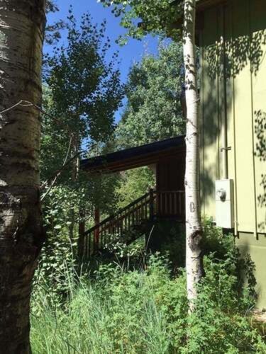 Available Christmas Eve and Christmas Day!! Book Now!