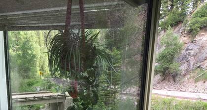 Available Christmas Eve and Christmas Day!! Book Now!