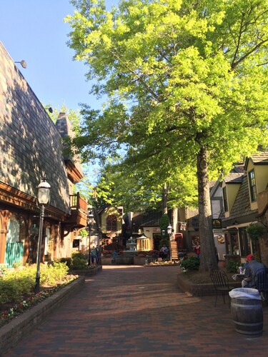 Spring is calling!Easy Trvl Roads! Near DW, Island, Gatlinburg, & Pkwy-Pvt Prkng