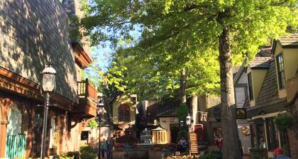 Spring is calling!Easy Trvl Roads! Near DW, Island, Gatlinburg, & Pkwy-Pvt Prkng