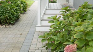 A narrow pathway leading to a porch with a white railing, surrounded by greenery and a parked car in the background. - Beachfront Dream Cottage Sleeps 11 Beautiful PETS OK (Ocean City)