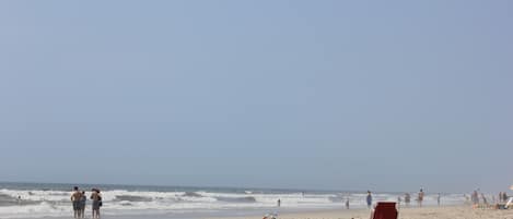 Playa en los alrededores