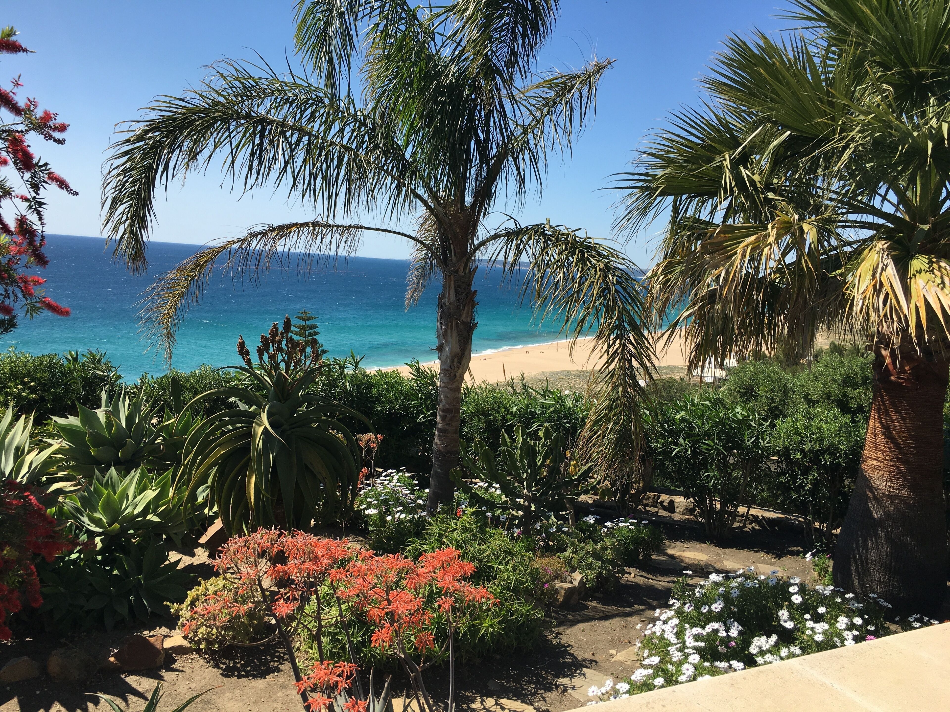 On the beach, sun loungers, beach towels