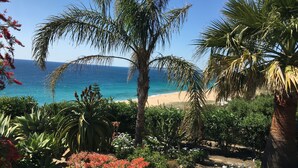 Um jardim com diversas plantas e flores, uma palmeira e vista para o oceano e a praia.