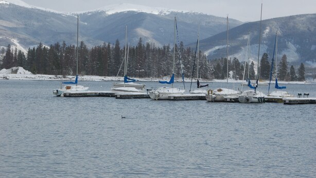 A marina with several sailboats docked, surrounded by snow-covered mountains and a forest.