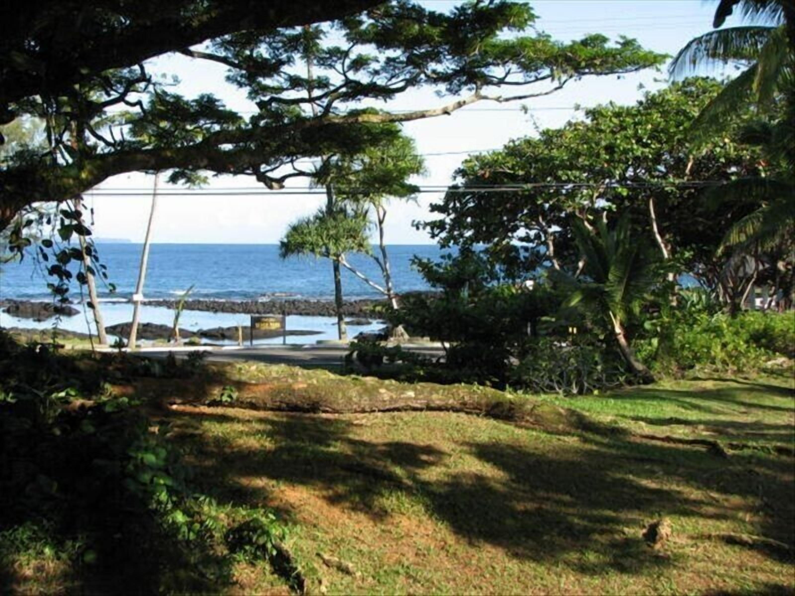 A coastal view with a grassy area, trees, and a clear view of the ocean.