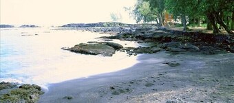 Ocean Frt.-Best Hilo Swim Lagoons, Turtles @ Richardsons Beach