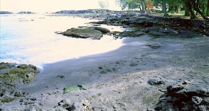 Ocean Frt.-Best Hilo Swim Lagoons, Turtles @ Richardsons Beach