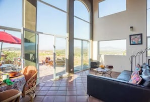 Televisión, chimenea, reproductor de DVD y libros