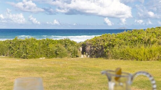 Une table avec un verre de vin blanc et une carafe d’eau, placée devant un paysage verdoyant et une vue sur l’océan.