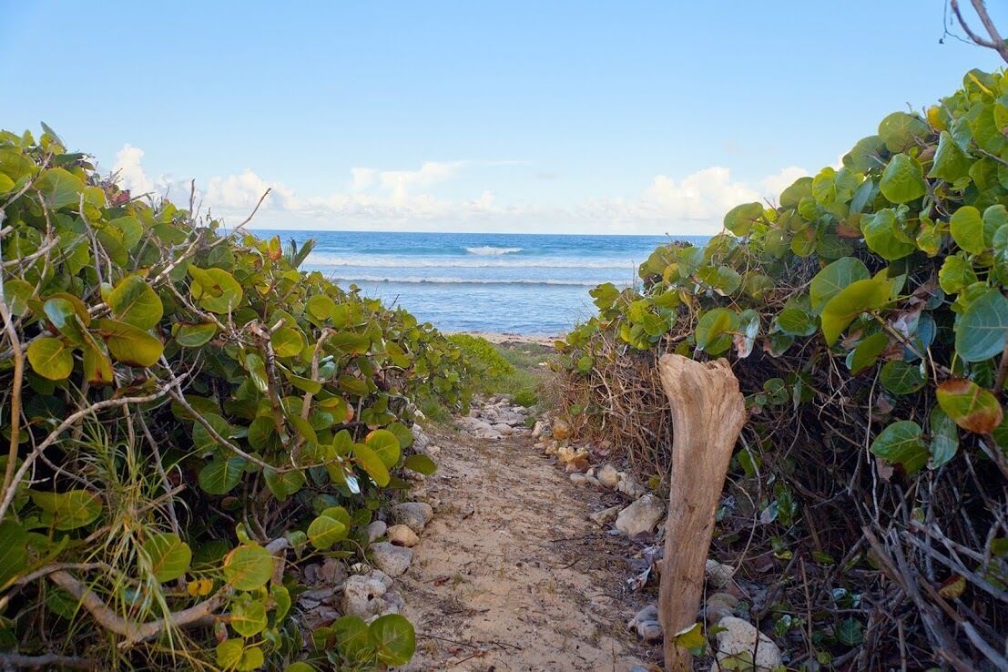 在海滩、沙滩椅、沙滩毛巾