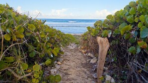 Un sentier sablonneux menant à la plage, bordé d’une végétation luxuriante.