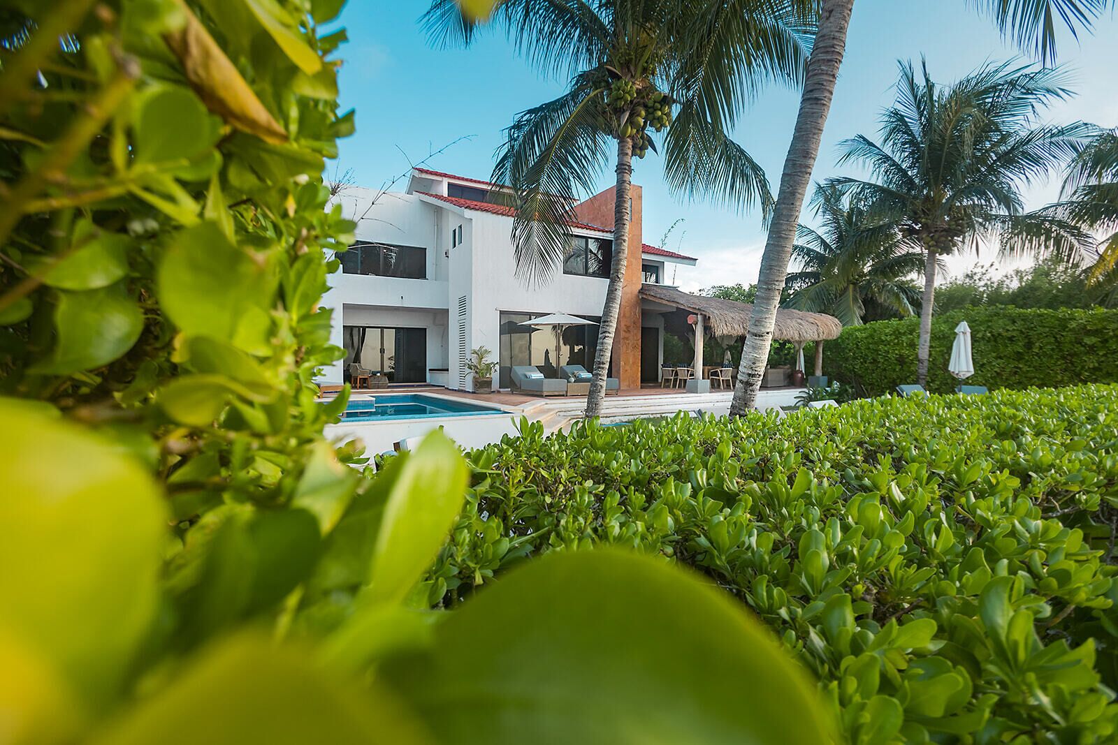 Una casa moderna con piscina, rodeada de exuberante vegetación y palmeras.