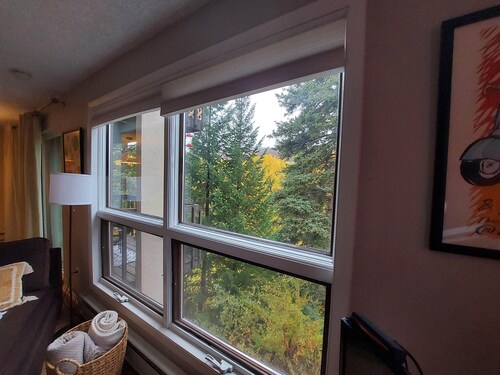 Fun 2 Bed 2Bath on the Eagle River Vail &Beaver Creek. Cute decor. On bus route