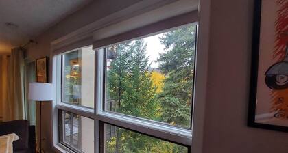 Fun 2 Bed 2Bath on the Eagle River Vail &Beaver Creek. Cute decor. On bus route