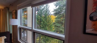 Fun 2 Bed 2Bath on the Eagle River Vail &Beaver Creek. Cute decor. On bus route