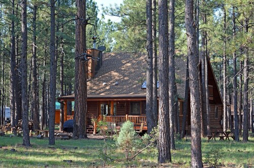 Log Cabin on National Forest - Quiet, Relaxing, Serene.