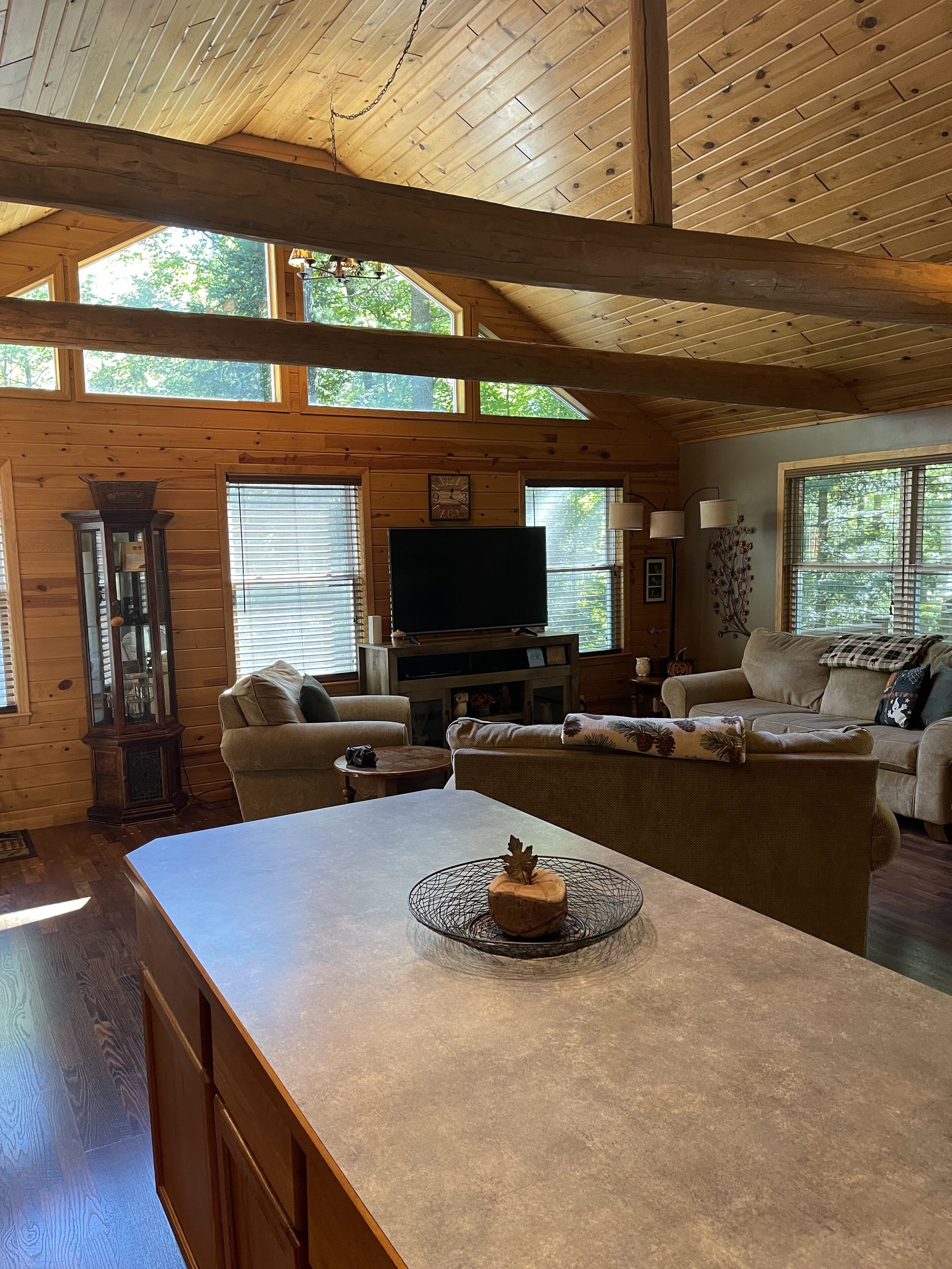 TV connectée, cheminée, lecteur de DVD, services de streaming