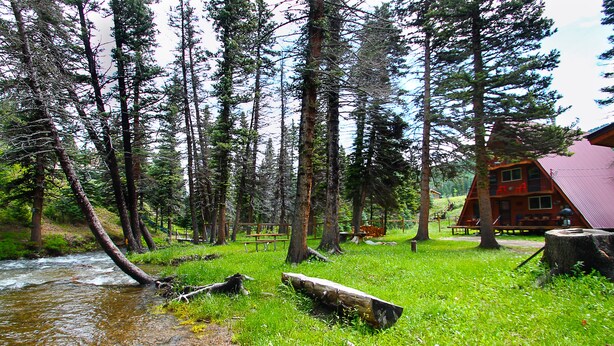 A cabin surrounded by tall trees and a flowing stream. - RIVER IN YOUR FRONT YARD!/Suspended Fireplace/Perfect for Families & Groups/PETS (Red River)
