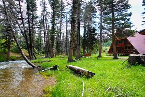 Property grounds - RIVER IN YOUR FRONT YARD!/Suspended Fireplace/Perfect for Families & Groups/PETS (Red River)