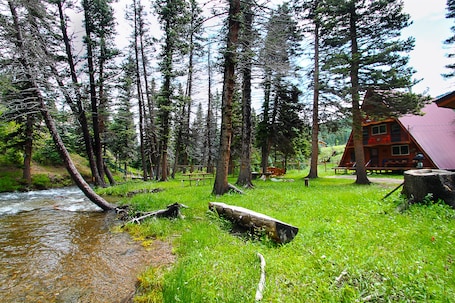 Property grounds. RIVER IN YOUR FRONT YARD!/Suspended Fireplace/Perfect for Families & Groups/PETS