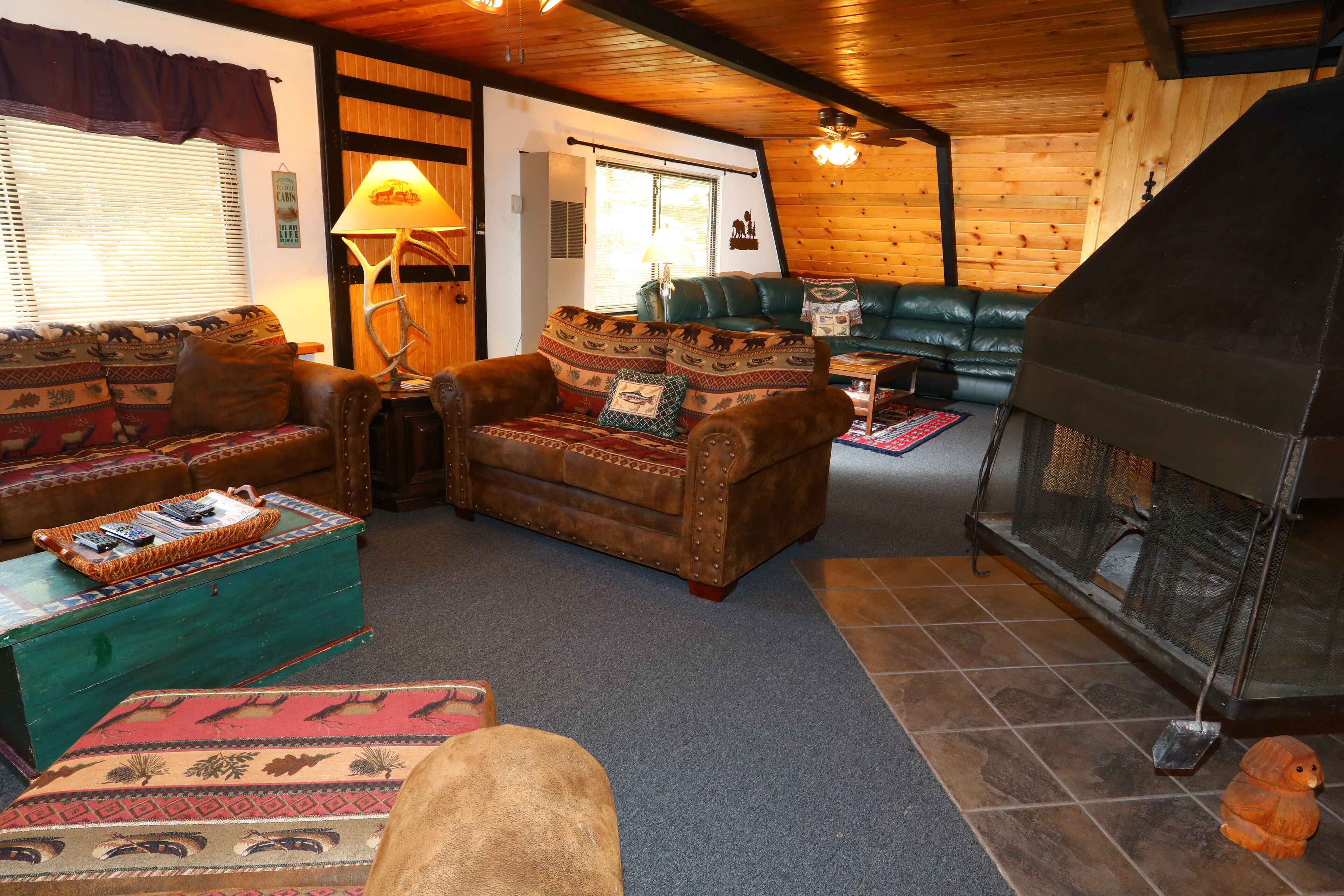 TV connectée, cheminée, lecteur de DVD, vidéothèque