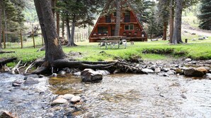 A cabin with a wooden deck and picnic tables in a forest setting. - RIVER IN YOUR FRONT YARD!/Suspended Fireplace/Perfect for Families & Groups/PETS (Red River)