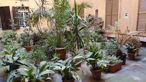 A courtyard with potted plants and a building with shutters. - Rome Historic Core Apartment - Between Colosseum & Termini – A/C, Wi-Fi, Netflix (Roma)