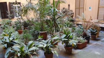 Overnatningsstedets område