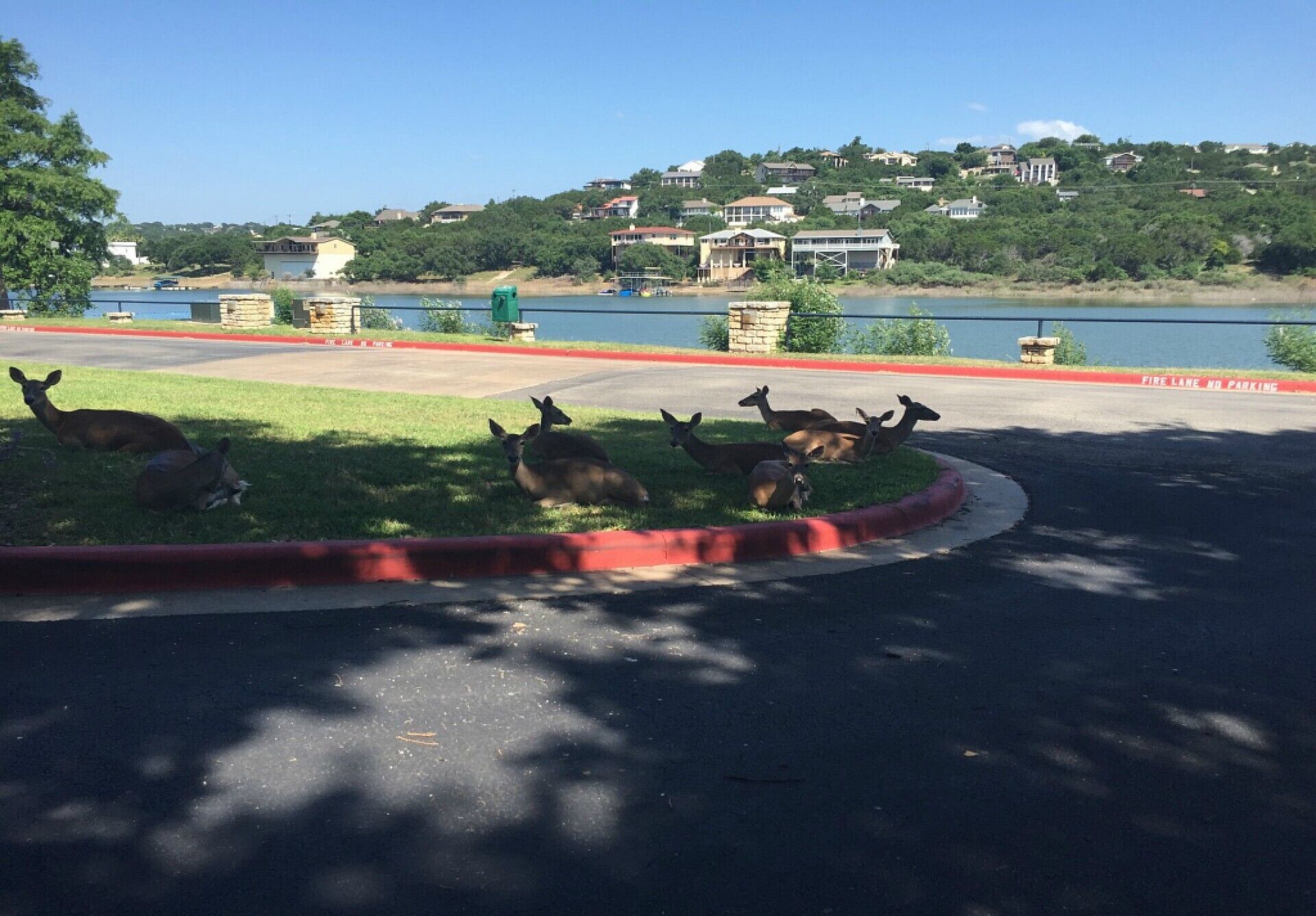 A parking area with a grassy median and a lake in the background.