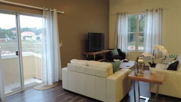 Flat-screen TV, DVD player, stereo