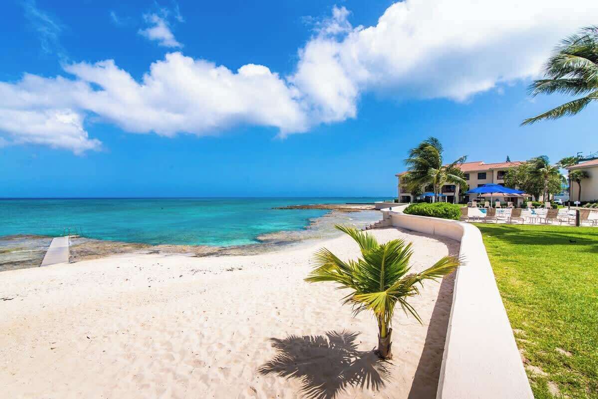 A beach resort with a clear view of the ocean, a palm tree, and a building with outdoor seating.