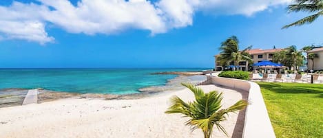 Una località balneare con vista sull'oceano, una palma e un edificio con posti a sedere all'aperto.