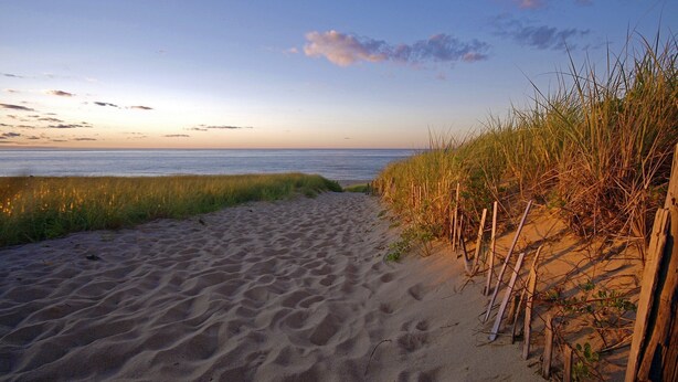 A sandy beach path leading to the ocean, with tall grass and wooden posts on the right. - Vanderbilt Beach (Naples)