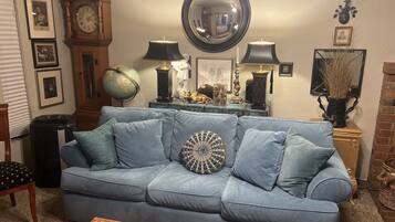 智能电视、壁炉、DVD 播放器、书