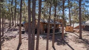 Een chalet omringd door hoge dennenbomen, met een houten terras en een klein portaaltje.
