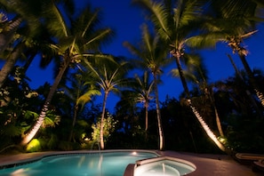 A swimming pool surrounded by palm trees at night.