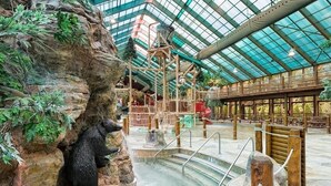Een overdekt waterpark met een beerbeeld, een zwembad en een glazen dak.