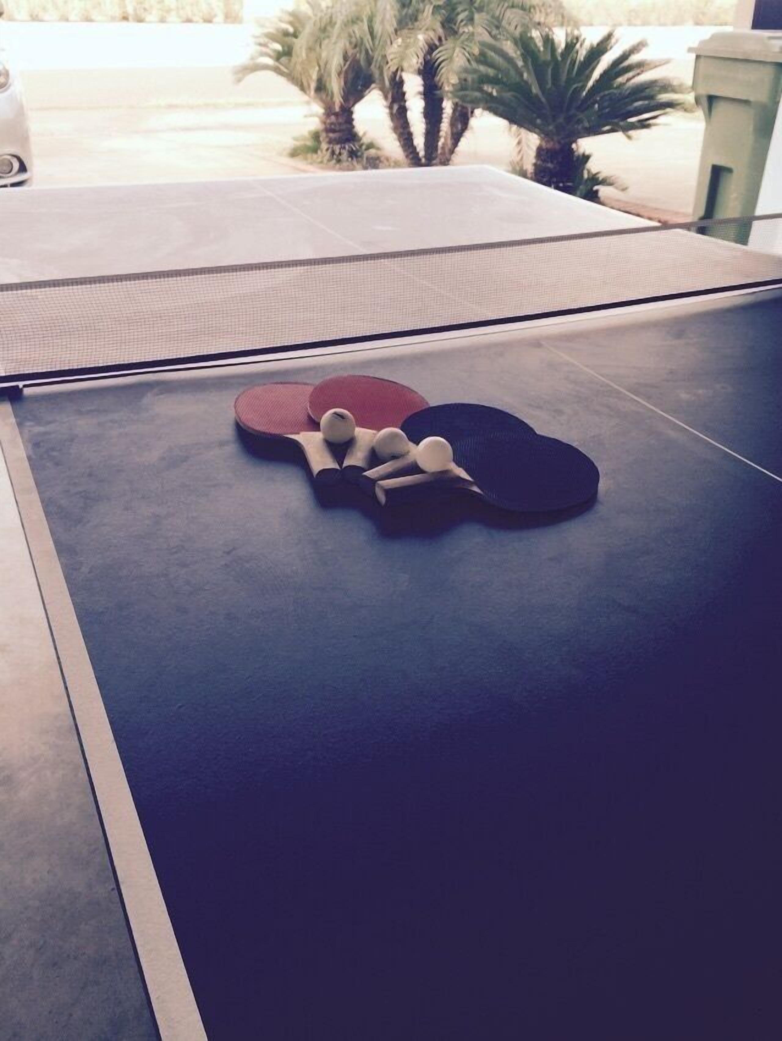 Mesa de ping pong con pelotas y paletas en una habitación con vista a palmeras.