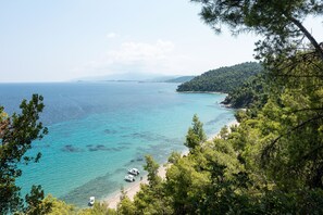 Vista costera con aguas turquesas cristalinas, una playa de arena y un denso bosque verde.