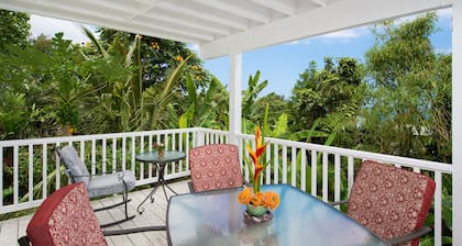 Hermoso, espacioso, con vistas al jardín Estudio con cocina americana. Wir sprechen Deutsch.