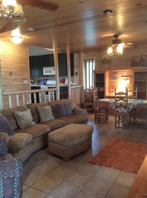 Fernseher, Kamin, DVD-Player, Videothek