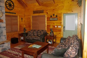 Smart TV, fireplace, books, video library