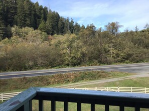 Property grounds - Contemporary farmhouse in Redwood National Park (Orick)