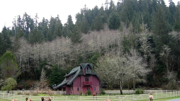 A red barn with a white fence, surrounded by a forested area. - Contemporary farmhouse in Redwood National Park (Orick)