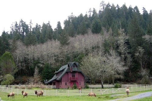 Contemporary Farmhouse Redwood National Park