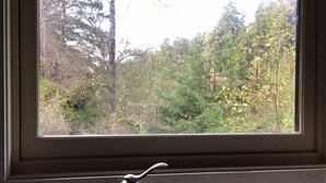 A window with a view of a forested area. - Contemporary farmhouse in Redwood National Park (Orick)