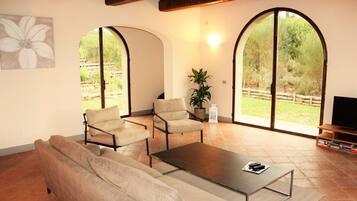 TV, fireplace, books