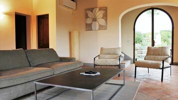 TV, fireplace, books