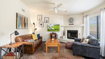 TV connectée, cheminée, livres